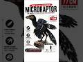 Microraptor 🦖 Real Size Shock! #shorts