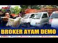 BROKER AYAM LAMPUNG DEMO DI PKOR