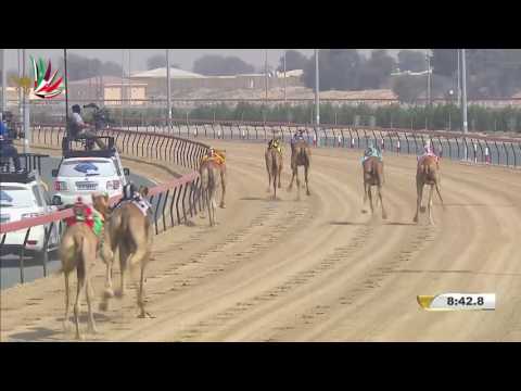 مهرجان ختامي المرموم حول للقبائل 16 4 2017 م ش1 رمز لـ سيف مطر محمد بالضبيعه الكتبي 12 35 4 مهرجان ختامي المرموم حول للقبائل 16 4 2017 م ش1 رمز لـ سيف مطر محمد بالضبيعه الكتبي 12 35 4