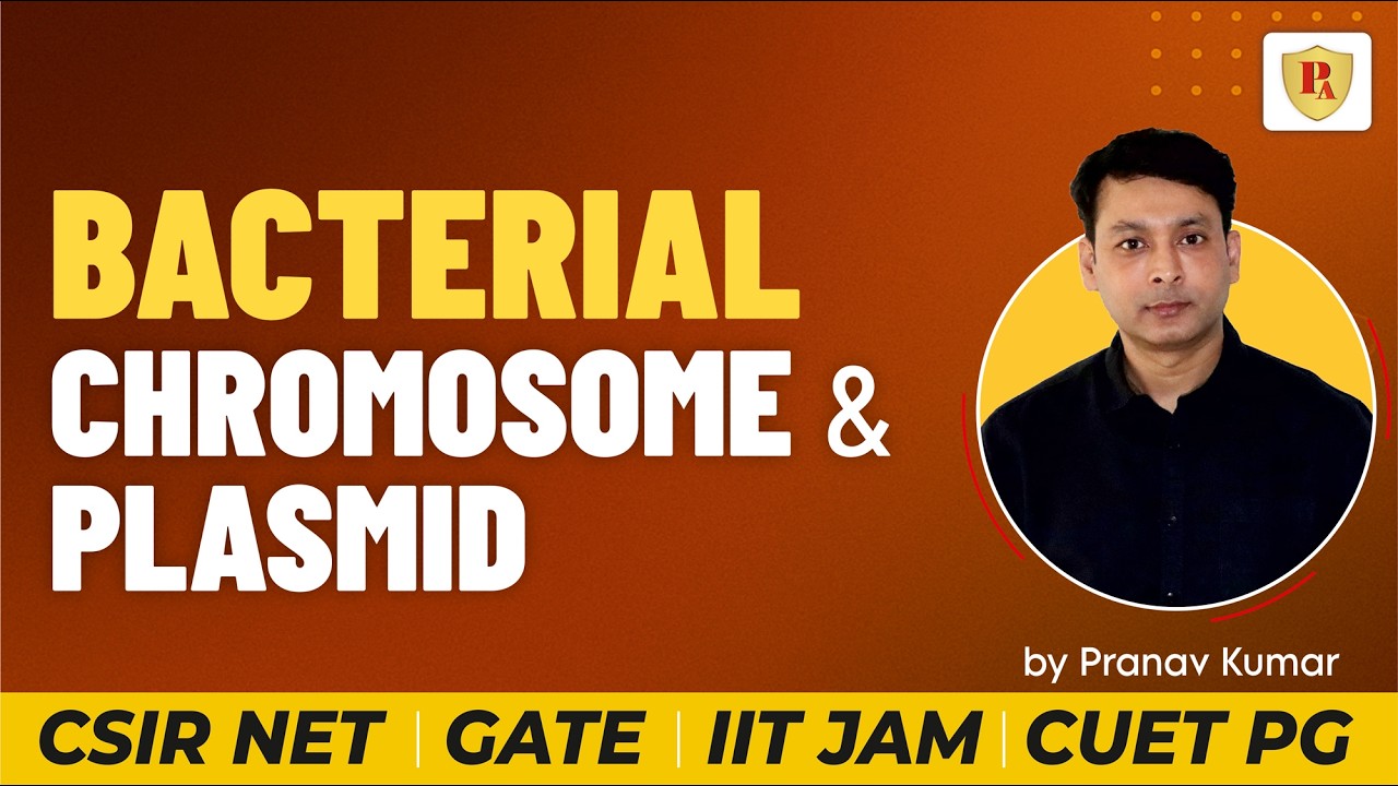 Bacterial Chromosome and Plasmid |  Pranav Kumar