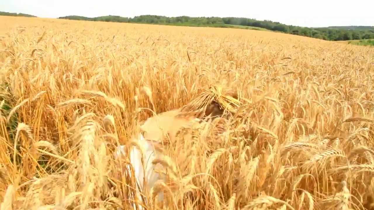 GUDA -- Za horeju kremianeju