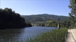 Los Caminos a Santiago (Olvidado-de Invierno-Sanabrés)