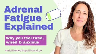 Understanding and Healing Your Adrenal with Medical Medium