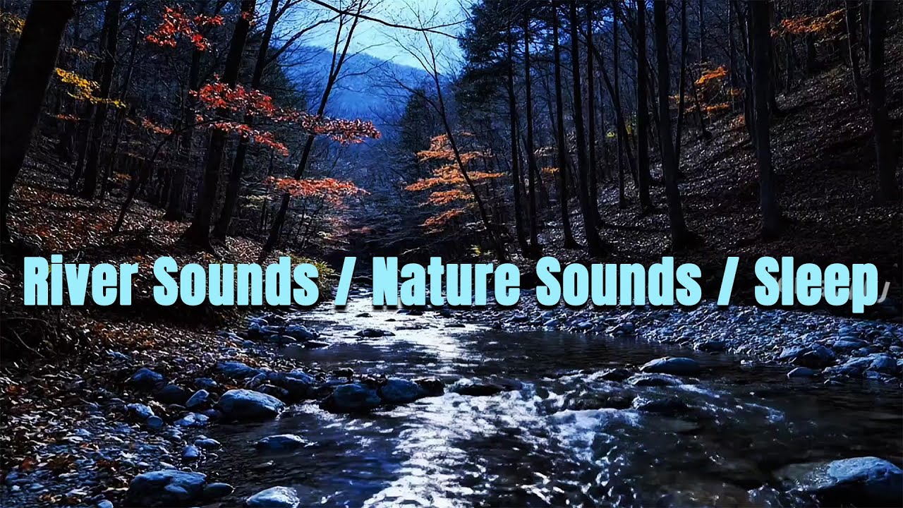 🔴 LIVE 24/7 Soothing River Ambience | Calm Water Sounds for River Sounds - Nature Sounds - Sleep