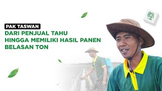 Pak Taswan, dari Penjual Tahu Hingga Memiliki Hasil Panen Belasan Ton