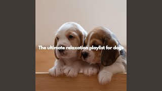 High-class Backdrops for Classical Thoughts