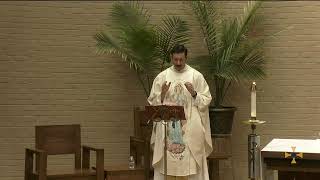 Daily Mass,  Thursday July 16, 2026