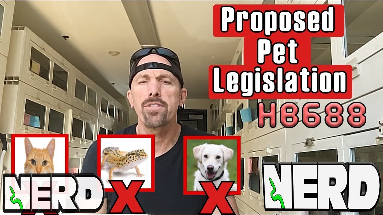 vlogs in spanish Scary proposed Legislation HB688, for New Hampshire residents!