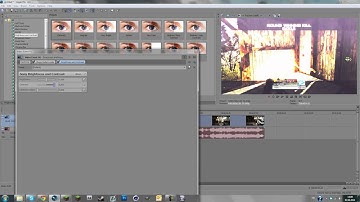 Flash Effect Sony Vegas Tutorial