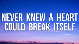 Zach Hood - never knew a heart could break itself (Lyrics Video)