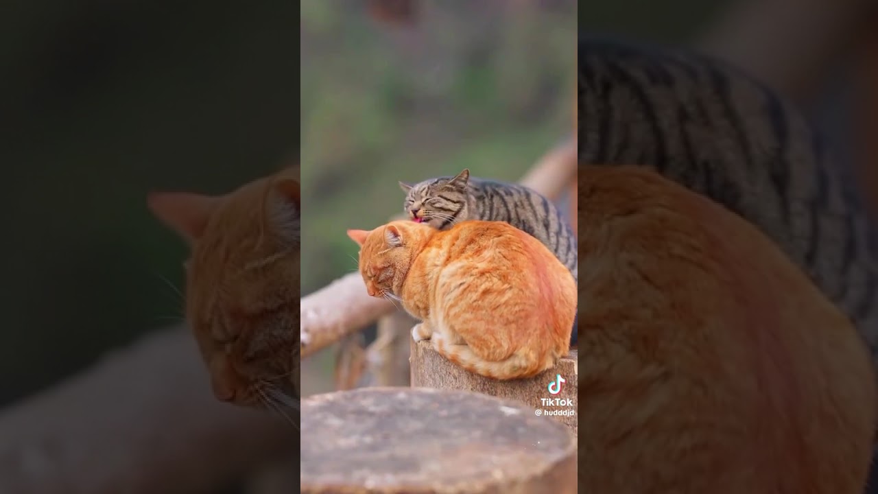 Chinese old method of making things 