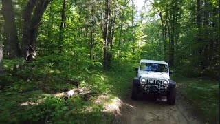 Unexpected Damage On A Easy Trail. On The Croton To White Cloud In Michigan.