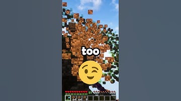 did you count how many blocks i mined? 🤔 #minecraft #minecraftshorts #shortsyoutube