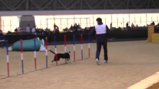111126ドラハはるまAG1.MTS