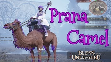 Bless Unleashed - Prana Camel | Double Dungeon Chest Drop Event | Halls of the Dead