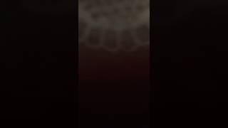ASMR page turning