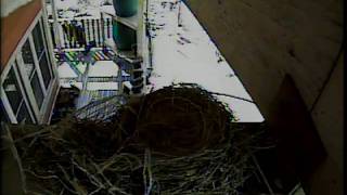 WI-milwaukee-amro-20090811.mp4
