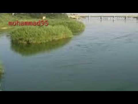 فيصل الدخيل فراتي سوري