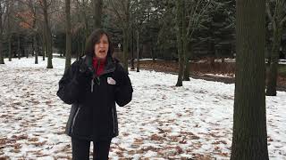 Conseils Pour Prévenir Et Traiter Lhypothermie