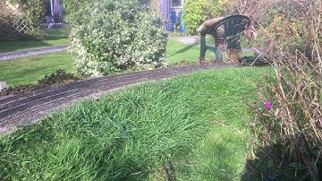 Gauge O garden railway…..ooh la la!