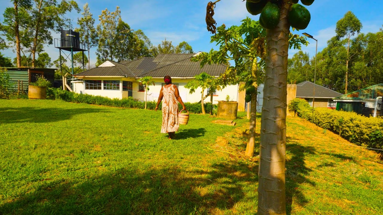 I Left the City to Retire in My Village. No Regrets