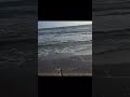 Mare Mosso 19 4 2025 LauraOltolina Laurol