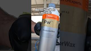 Koch Chemie Protector Wax | Mobile Detailing Business Tip | Green Light 🟢 or Red Light 🔴 ?