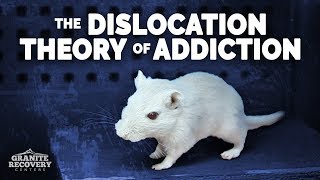 The Dislocation Theory Of Addiction