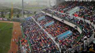 20100321桃園國際棒球場 (10).AVI