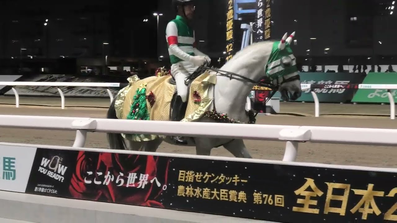 Warrior of Light Award The lead horse will wear the Light