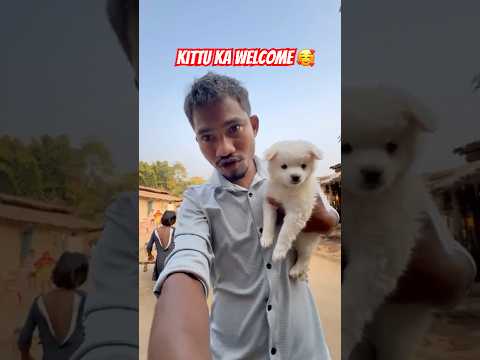 kittu ka welcome🤗#minivlog#viral#trending#village#shorts#reels#river#waterfall#hills#enjoy