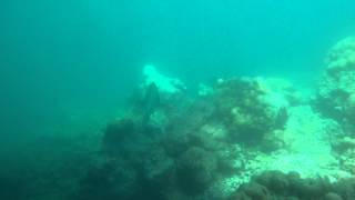 1030429 12帛琉~海立方 體驗潛水 繼民嘉玲