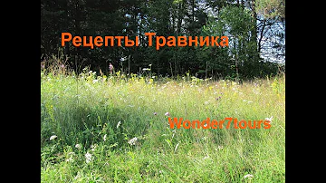 Рецепты Русского Травника Комарова Юрия Андреевича
