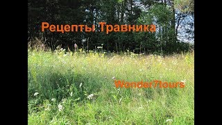 Рецепты Русского Травника Комарова Юрия Андреевича Рецепты Русского Травника Комарова Юрия Андреевича