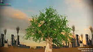 tree stats