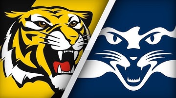 AFL Round 12 Tips 2019