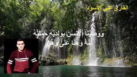تلاوة ندية من سورة لقمان بصوت علي الأسود #سورة_لقمان #علي_الأسود #تلاوة #تلاوة_خاشعة #القرآن_الكريم