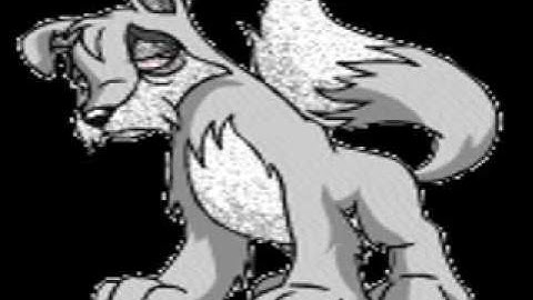 grey neopet music video