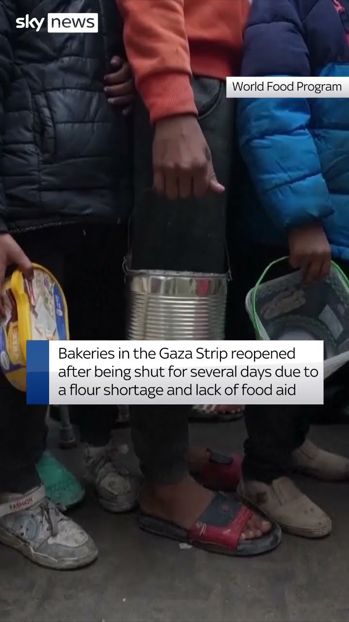 Palestinian children queue up for food