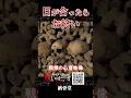 【心霊映像】目が合ったら,お終い #foundfootage #恐怖 #ホラー #事故物件 #怖い話 #horror #幽霊 #supernatural #ghost #catacombes