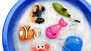 Download Learn Sea Animal And Zoo Animals Names Shark Video Toys For Children Baby Video MP3 Learn Sea Animal And Zoo Animals Names Shark Video Toys For Children Baby