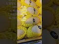 #망고 #생생정보t.v