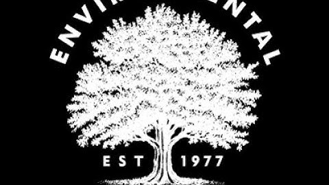 Environmental Design Inc | Compilation Of Big Tree Transplanting Projects Across the USA