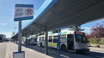 Anchorage bus routes skipped due to ongoing staff shortage