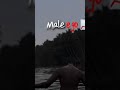 Male ego