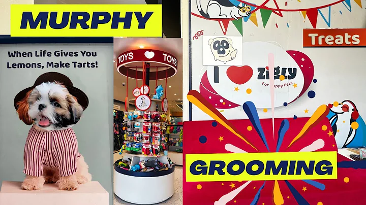 Zigly's Pet Paradise: Murphy's Spa Day Unleashed in Janakpuri! Grooming Session