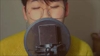 Camila Cabello - Real Friends (COVER by Suggi)