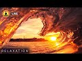 🔴 Meditation Music 24/7, Yoga Music, Sleep Music, Relaxing Music, Study Music, Peaceful Ocean Waves