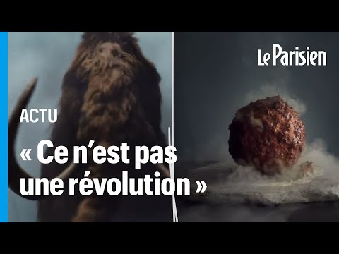 Vidéo: Les boulettes de viande bremer sont-elles bonnes ?