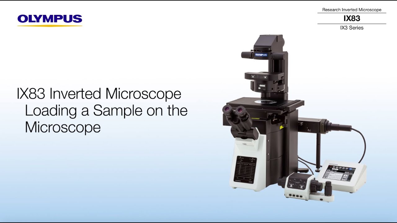 IX83 Inverted Microscope: Loading a Sample Slide on the Stage - YouTube